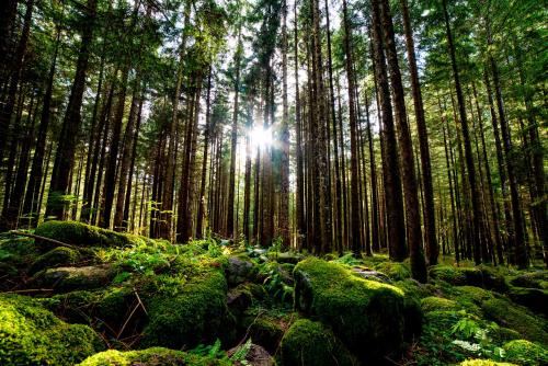 Alrededores, REGIOHOTEL Harzresidenz Wernigerode - #Familienfreundlich #FrischRenoviert #Waschmaschine #FreeParki in Wernigerode