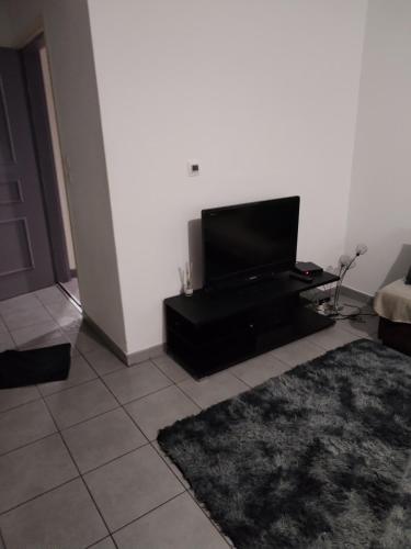 COSYF4, Toulouse (fotografie 7)