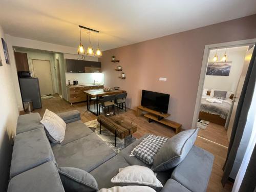 Deluxe One-Bedroom Apartment
