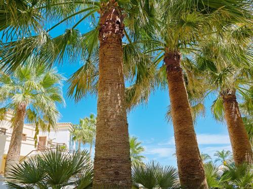 608851066 Grecotel Marine Palace & Aqua Park