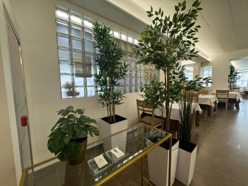 設施, Rey Don Sancho in 薩莫拉市中心