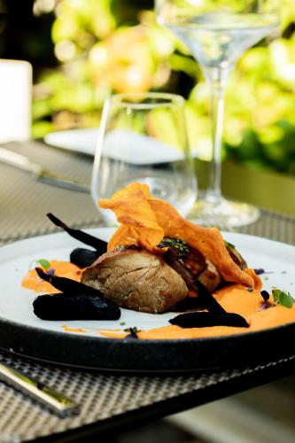 Acevi Villarroel - image 6