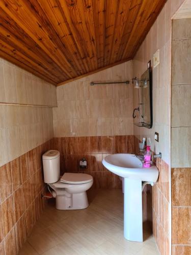 Tirane Tranquility Cottage, Тирана (фото 10)