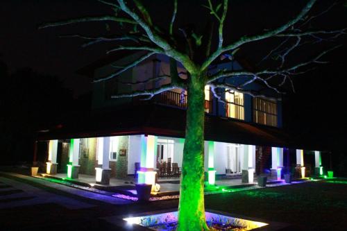 المنظر الخارجي, Cogent Holiday Home in واتابولا