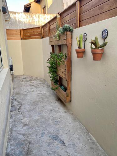 정원, Tandil Temporal HOME in 탄딜