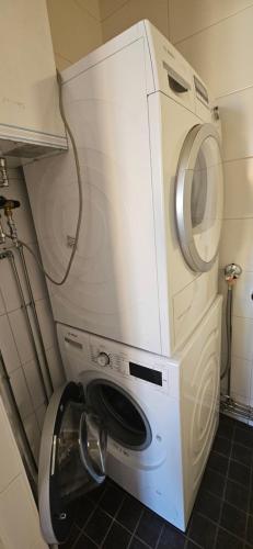 Ilona Vanha Rauma in Rauma