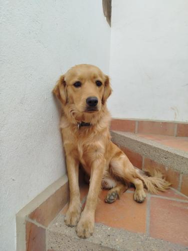 Apartamento ALTAMIRA de la VILLA de Leyva - image 5