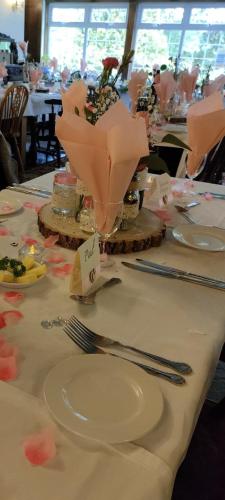 608967126 Great Trethew Manor Hotel & Self Catering Lodges