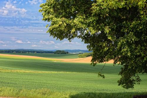Surrounding environment, Suite Petite - Ferien und Businessapartment in Bruchkobel
