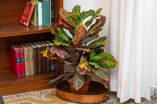 Clodia 5 by Rental in Rome, Rome (photo 9)