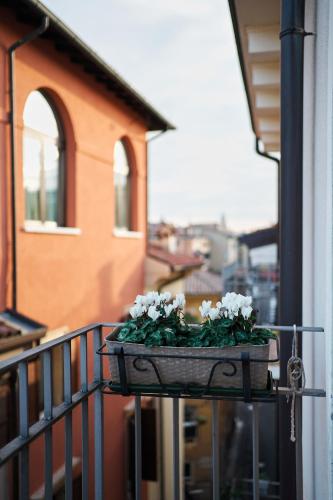 Vista Apartments Verona, Verona (photo 6)