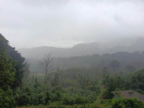 Suvrana Mountain View Stay - image 3