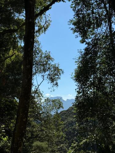 Refúgio dos Platanus