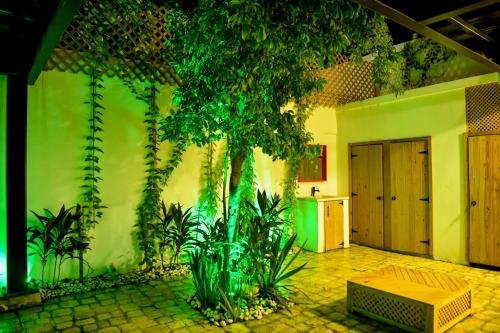 Hage, Honky Tonk Colonial in Santo Domingo