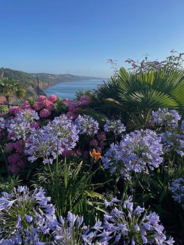 Headland View - image 8