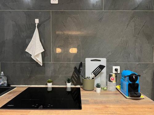 Charmant appartement Strasbourg, Strasbourg (photo 9)
