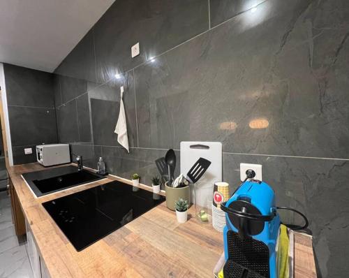 Charmant appartement Strasbourg, Strasbourg (photo 10)