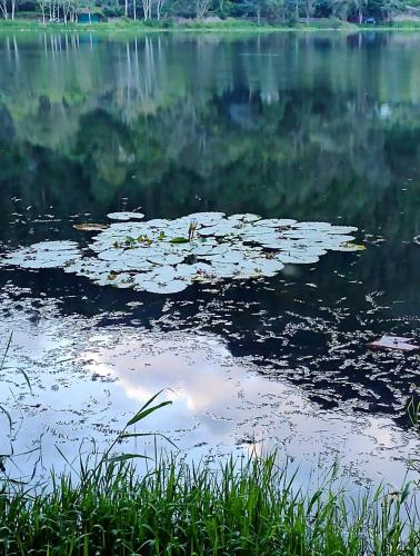 ที่เที่ยวใกล้ที่พัก, San Carlos Apartaestudio céntrico con cocina en Choachí (San Carlos Apartaestudio centrico con cocina en Choachi) in เชาชี