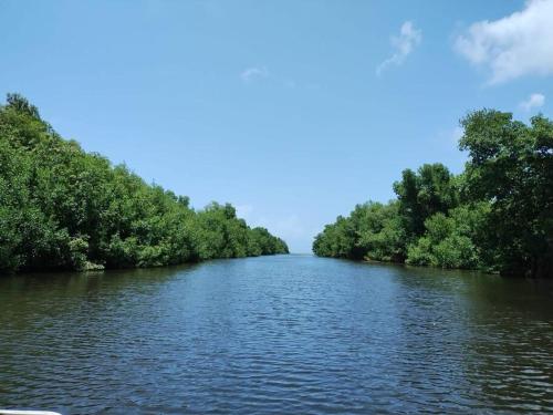 Sweet Caribbean Home - image 10