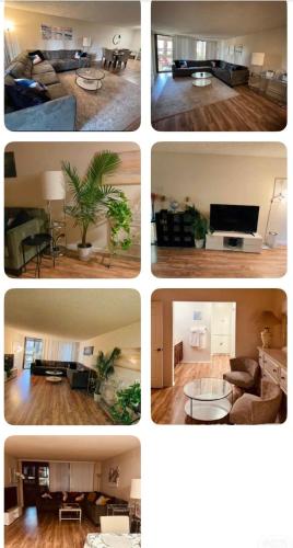 Beautiful 2 bedroom home less 5 mins to the beach near LAX in Los Angeles, USA