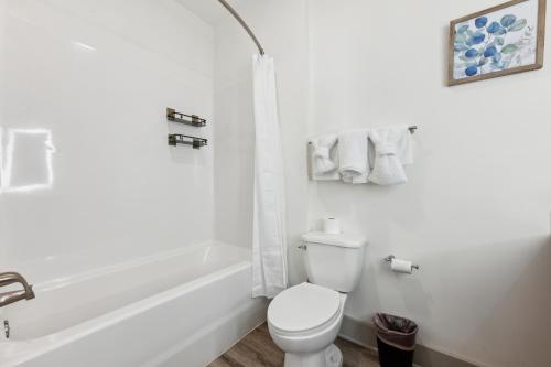 Overlook 3005 Luxe Modern Corporate 2bd Apt in Knoxville, USA