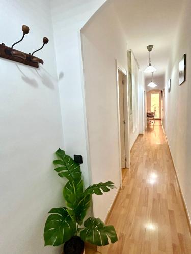 Apartment carrer d'Olesa, Barcelona (fotografie 10)