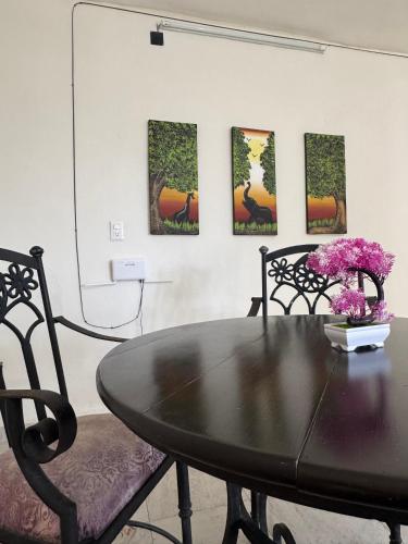 Casa Mango in Mérida, Mexico