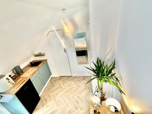 Seaview Surf Studios - 