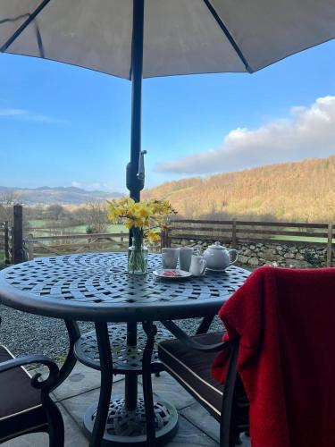 Dolgun Uchaf B&B and Cottages - image 6