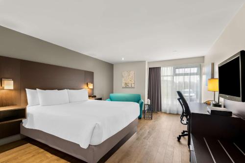 1 queen bed