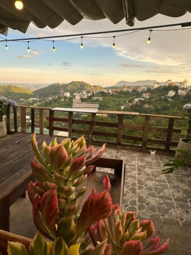 Ba con mều homestay - Tap to explore photos