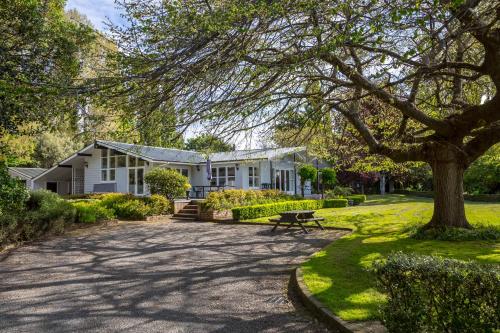 The Cattlestop, Martinborough (fotografie 6)
