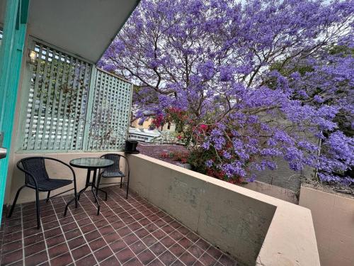 Facilities, Lil Darling in Camperdown