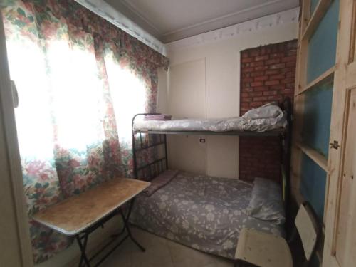 david hostel – Aswan, NY