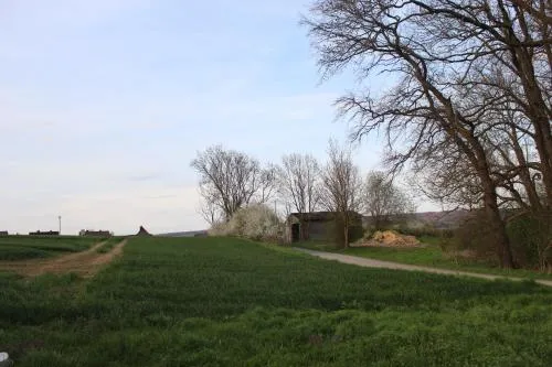 Doppelhaushälfte für Monteure und Gruppen rechte Seite in Bad Münder am Deister, Deutschland