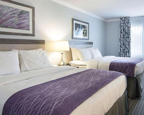 Comfort Inn Williamsburg Gateway - image 2