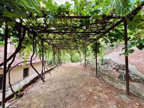 Huerta del Tajo, Ronda (foto 7)