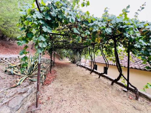Huerta del Tajo, Ronda (foto 6)
