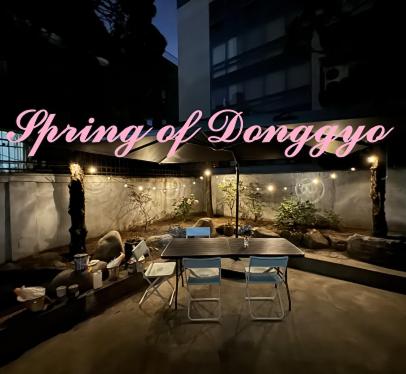 Spring of Donggyo 103 near Hongik Station, Soul