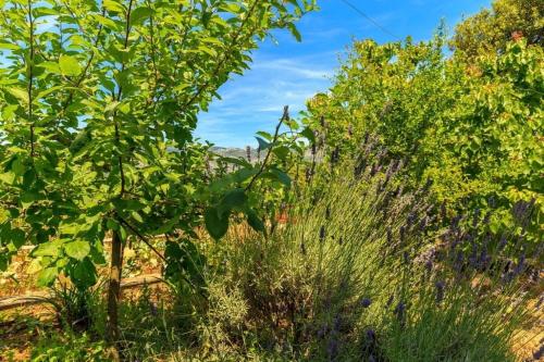 Villa Marija- great view - image 7