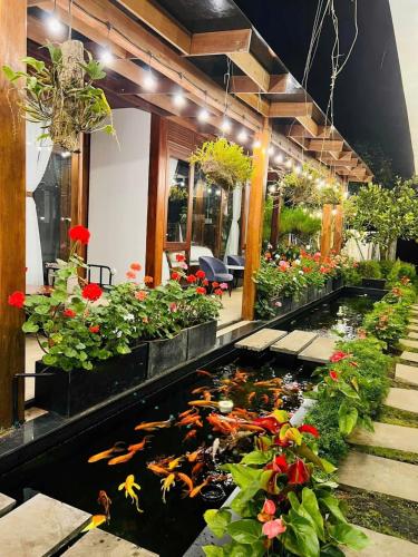 Vườn Trà HomeStay Măng Đen - 정원