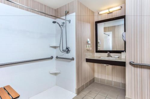 Standard King Room with Roll-in Shower - Mobility Accessible image 2