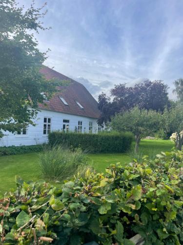 Lejlighed i landlige omgivelser · Vamdrup