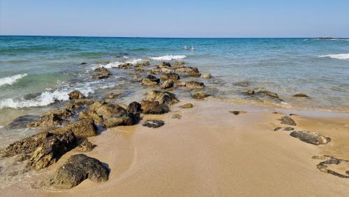 Sunset Beach Hotel - image 9