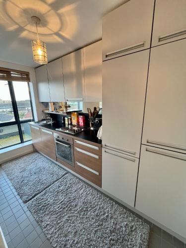 Entire Home in Exclusive Dublin Neighborhood - Comfortably Sleeps Up to 6 Guest, Dublín (foto 6)