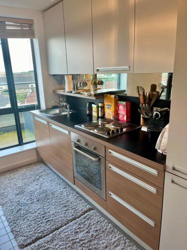 Entire Home in Exclusive Dublin Neighborhood - Comfortably Sleeps Up to 6 Guest, Dublín (foto 7)
