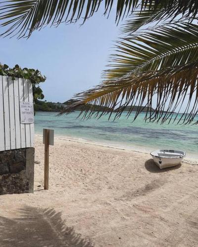 Bungalow Neuf & intimiste avec Piscine in Gustavia