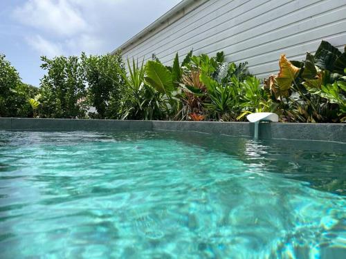 Svømmebasseng, Bungalow Neuf & intimiste avec Piscine in Gustavia