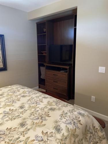 Waikoloa Beach Villas J32 - image 11