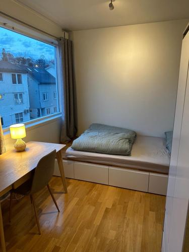 Cozy Studio in Tromsø Sentrum